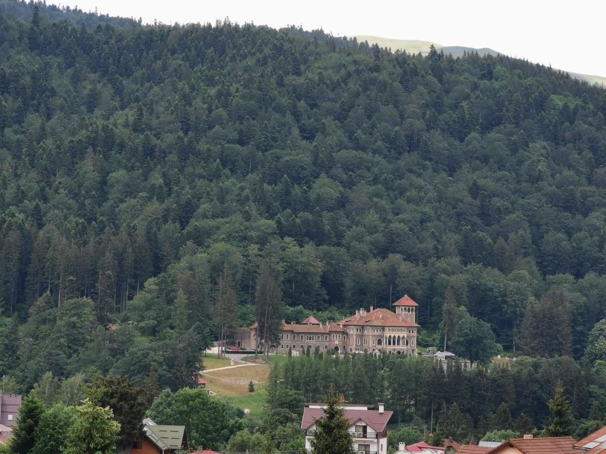 Hotel Iri Buşteni 外观 照片